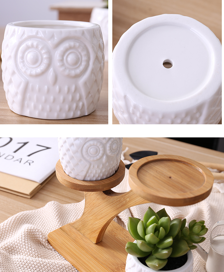 Lisslune | Decorative plant stand made of wood – plant pots in owl design for succulents and indoor plants