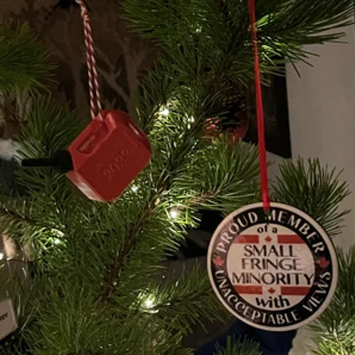 Lisslune | Funny Christmas Money Ornament