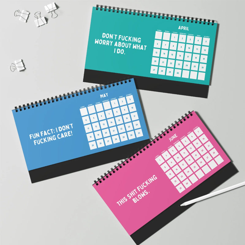 Lisslune | Funny 2025 sarcastic calendar