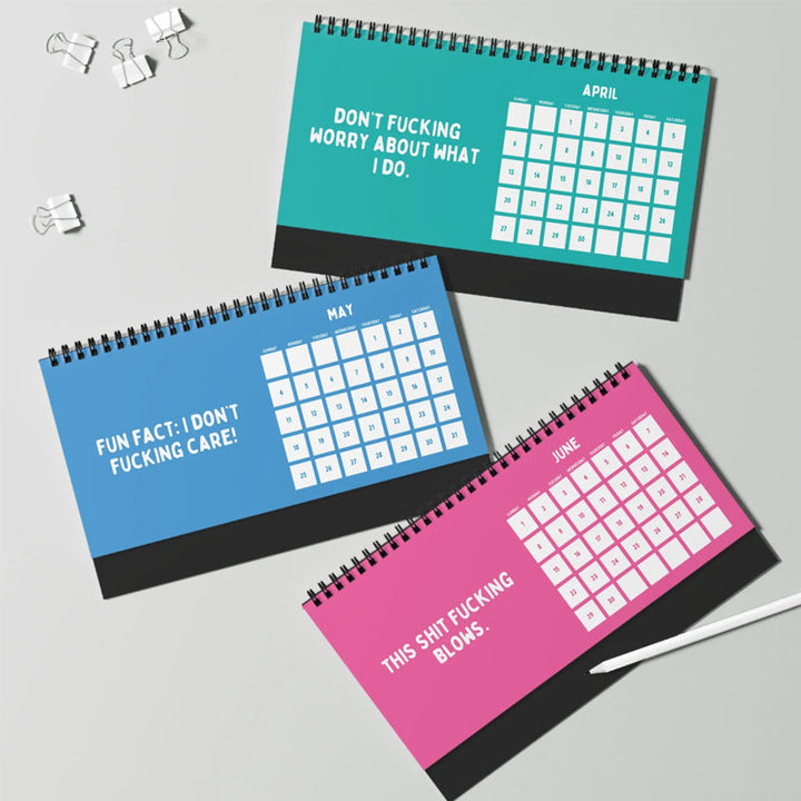 Lisslune | Funny 2025 sarcastic calendar