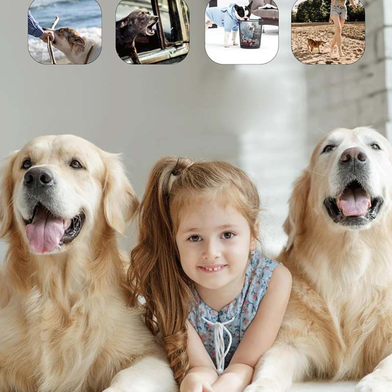 Lisslune | Ultrasound Dog Repeller