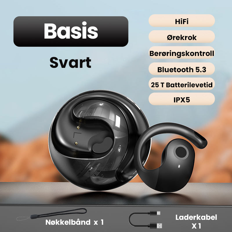 Lisslune | Smart Wireless Bluetooth Translation Earbuds