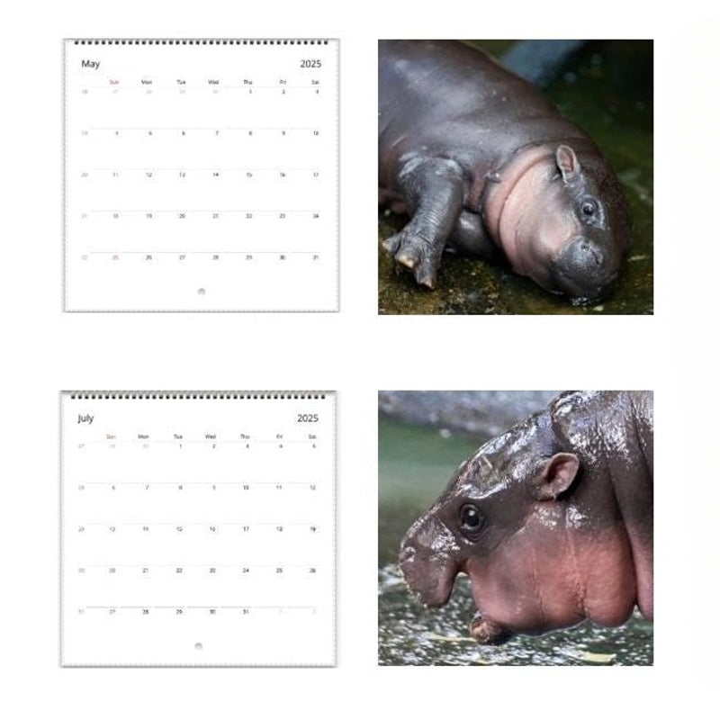 Lisslune | Moo Deng Calendar | Calendar 2025