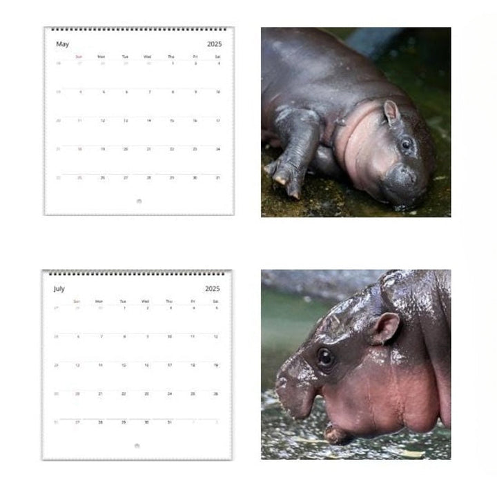 Lisslune | Moo Deng Calendar | Calendar 2025