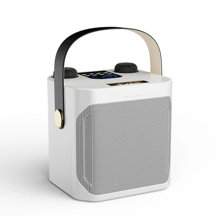 Lisslune | Karaoke Bluetooth Speaker – 360° Surround Wireless Subwoofer with Dual Mics