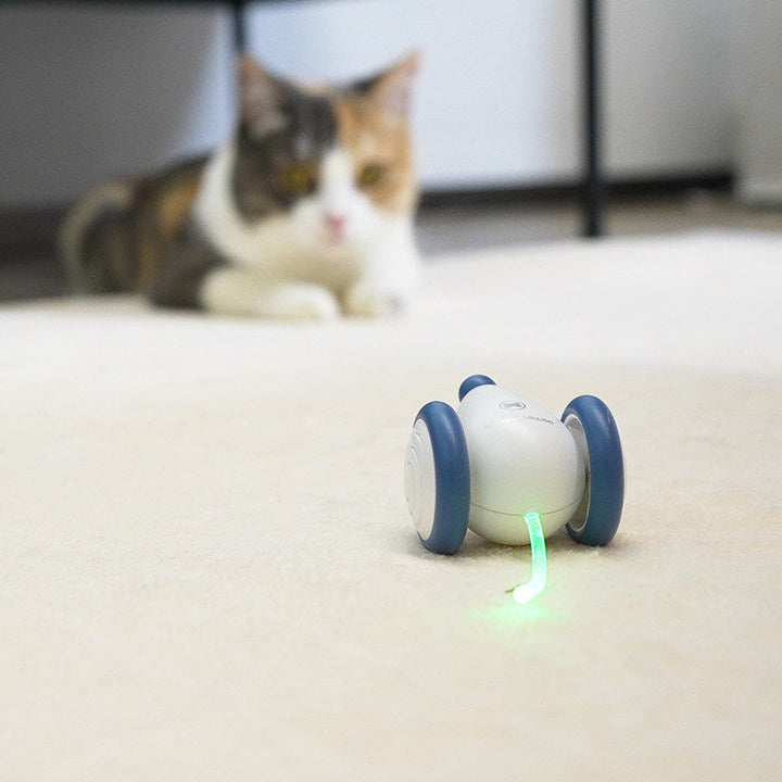 Lisslune | Electric Smart Cat Toy