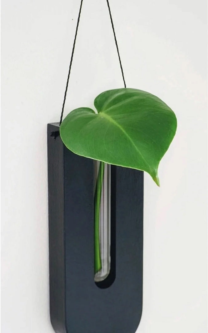 Lisslune | WoodFlora | Rustic Wooden Wall Flower Holder Set – Creative Plant Display for Indoor Spaces