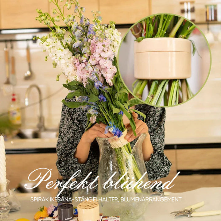 Lisslune | Spiral-shaped Ikebana Stem Holder