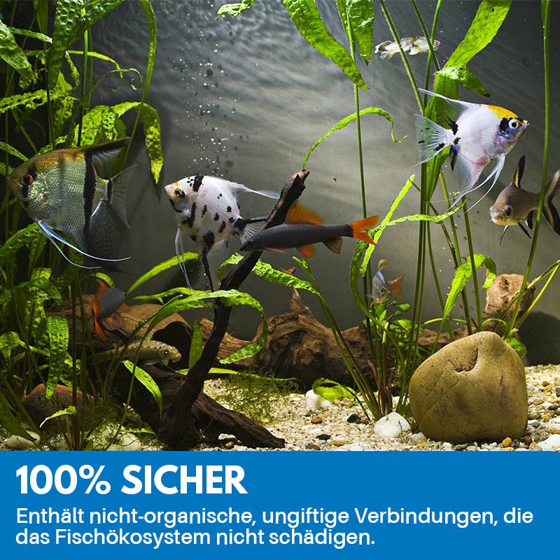 Lisslune | Cleaning Powder for Aquarium