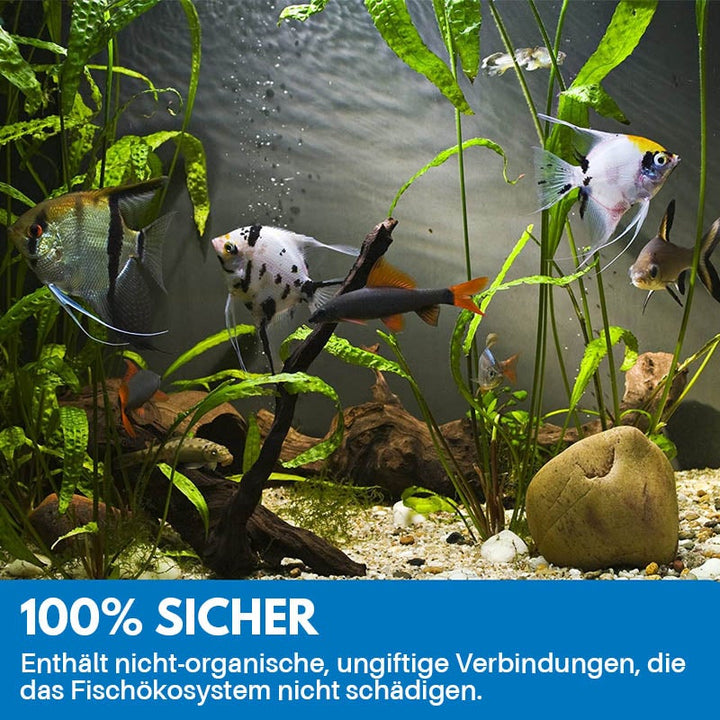 Lisslune | Cleaning Powder for Aquarium