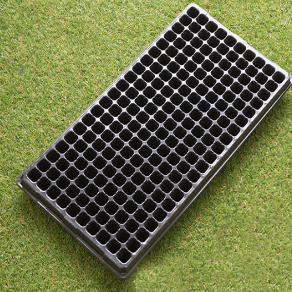 Lisslune | Rectangular Plant Bowl – Seedling Tray for Efficient Germination and Growth of Seedlings