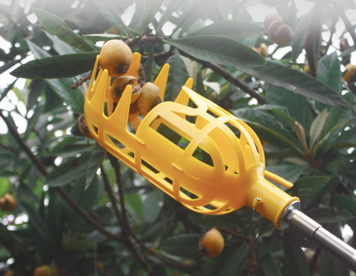 Lisslune | Harvest aid for fruit – Practical fruit grabber tool for trees and bushes