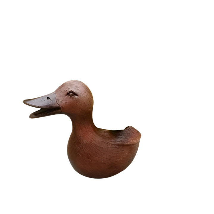 Lisslune | QuackBloom Ceramic Ducks Planter