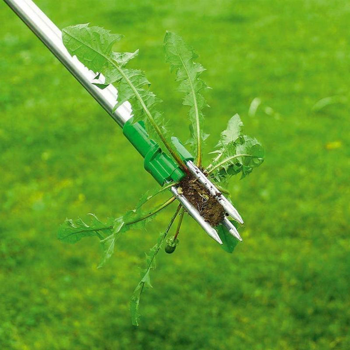 Lisslune | Standing Weed Puller