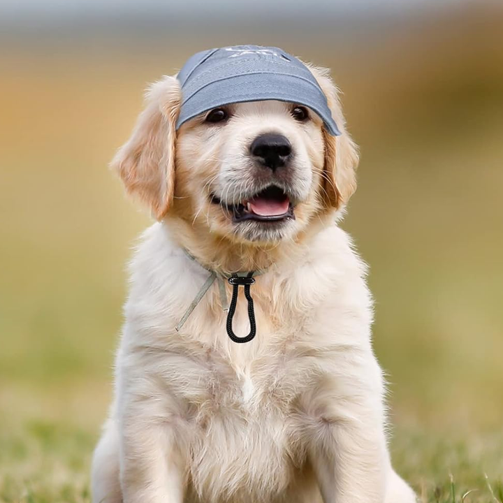 Lisslune | Outdoor Sun Protection Hood for Dogs