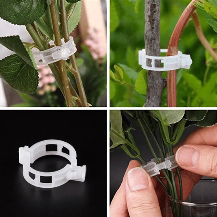 Lisslune | Practical Plant Support Clip