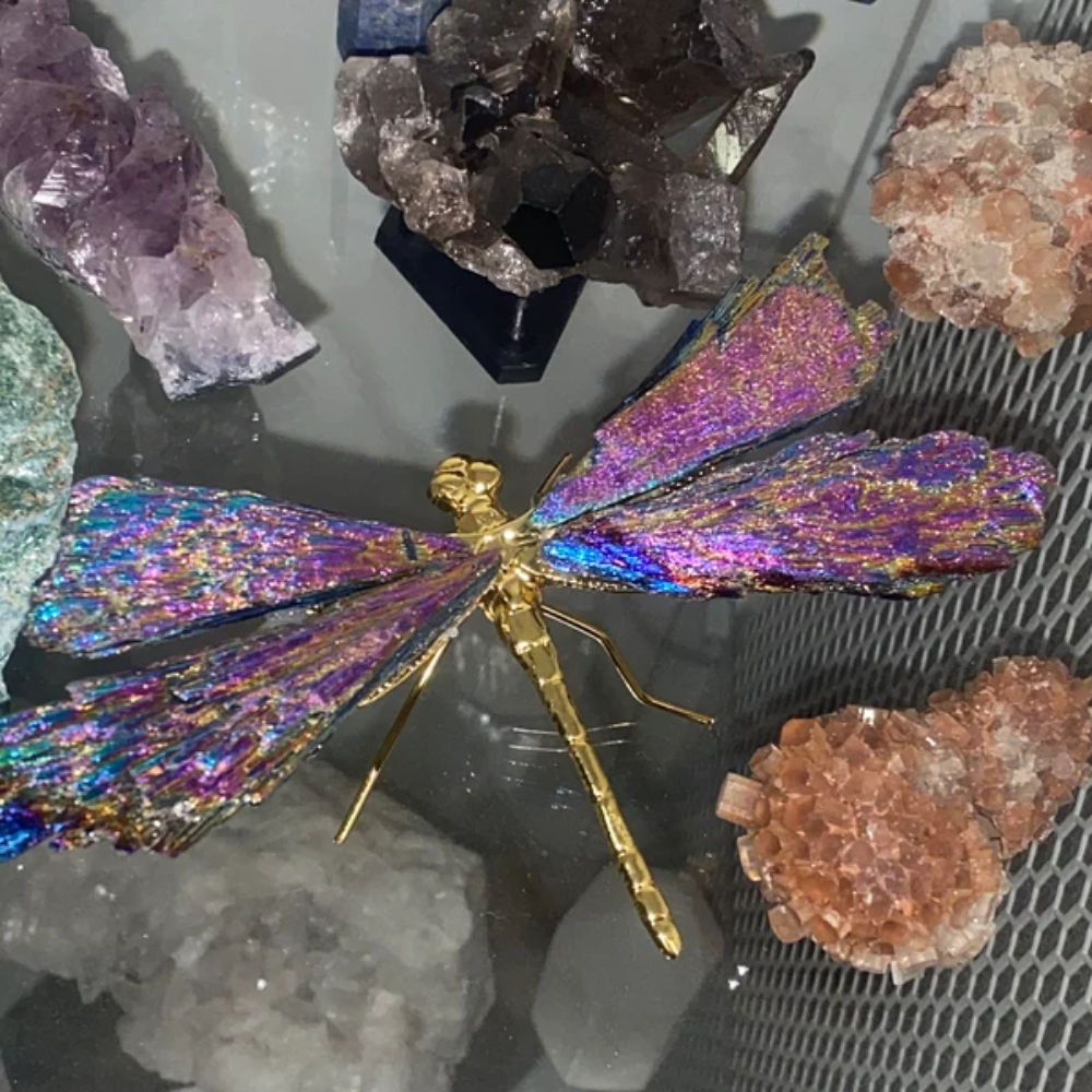 Lisslune | Aurora Dragonfly Charm