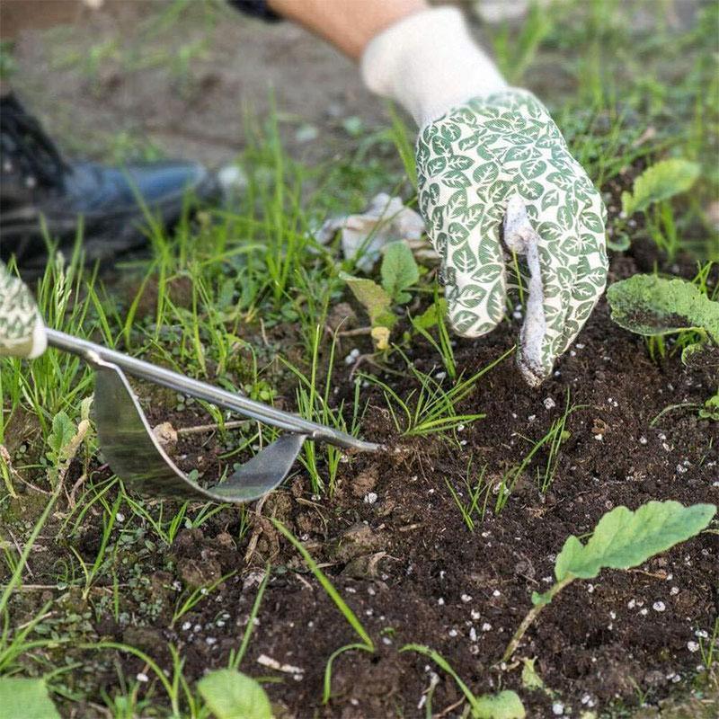 Lisslune | Weed puller with natural wood handle