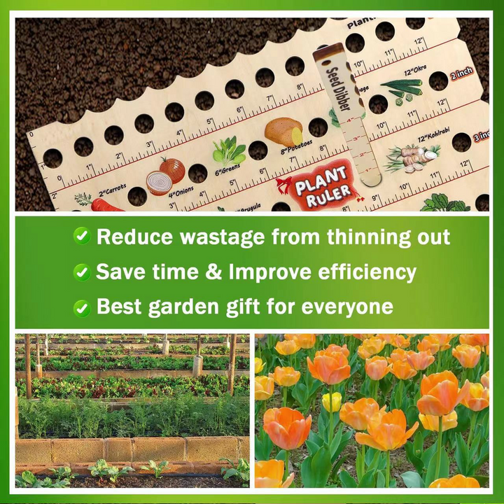 Lisslune | Wood Plant Ruler – Multifunctional Seed Measuring Tool for Garden