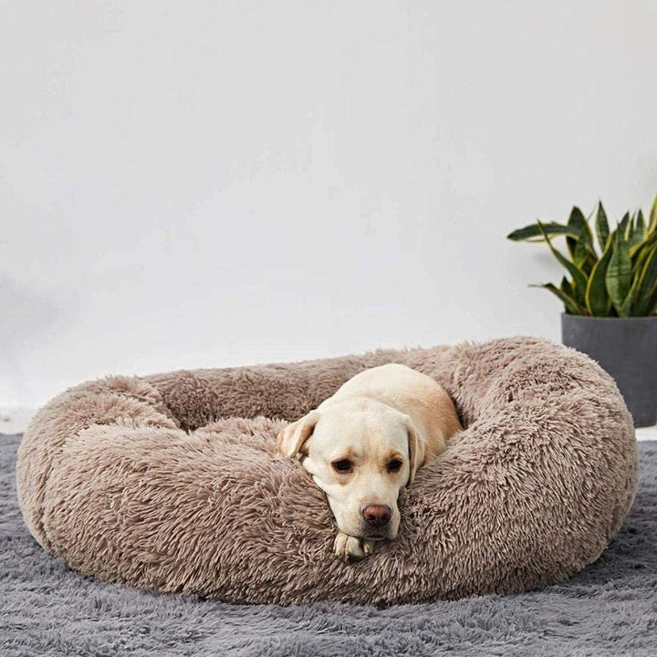 Lisslune | Calming Dog Bed