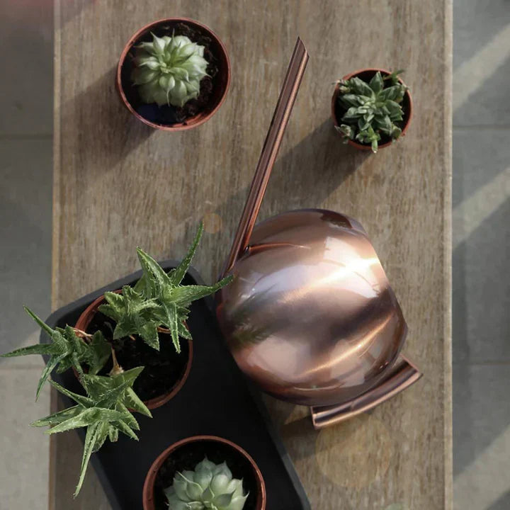 Lisslune | AquaSleek - Precision watering can for delicate plants