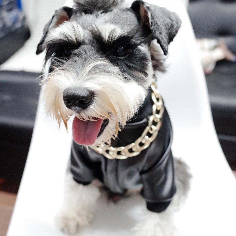 Lisslune | Thick golden chain pet safety collar