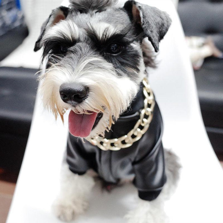 Lisslune | Thick golden chain pet safety collar