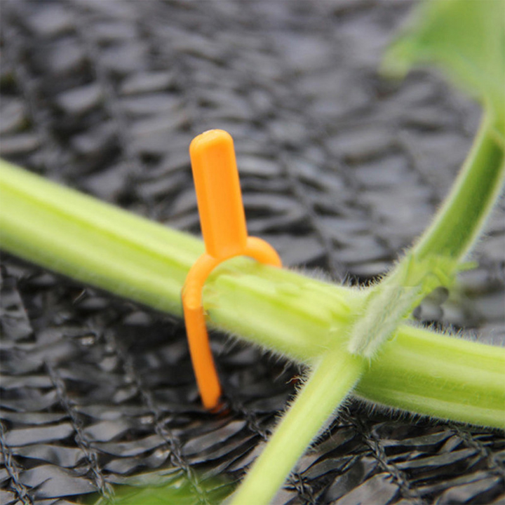 Lisslune | Garden plants support clamps made of plastic for optimal plant stability