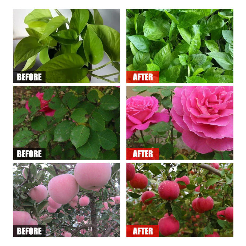 Lisslune | Plant Nutrient Solution