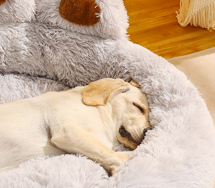 Lisslune | Washable Pet Bed CozyPaw with Paw-Shaped Design