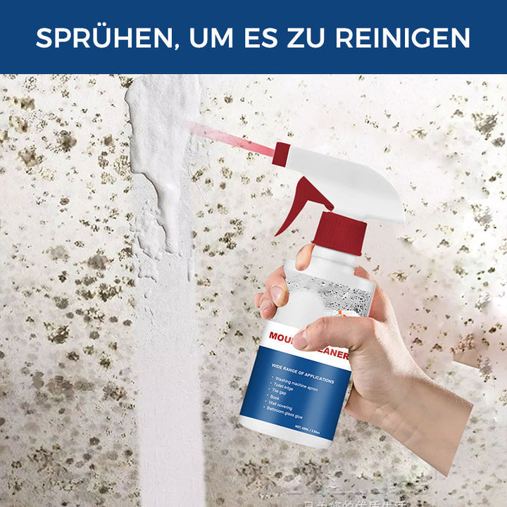 Lisslune | Anti-Mold Cleaning Foam