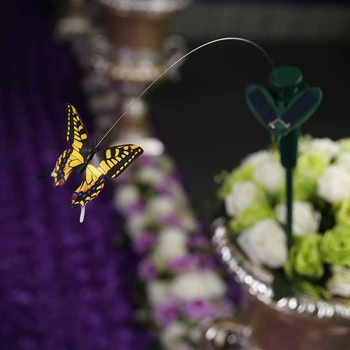 Lisslune | Solar-powered dancing hummingbird and butterfly