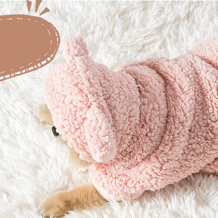 Lisslune | Pet Bathrobe Blanket