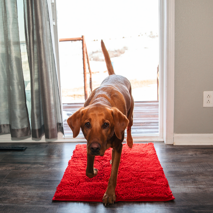 Lisslune | Joep Dog Door Mat – Super Absorbent Mat for Dirty Paws