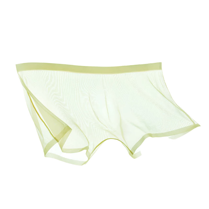 Lisslune | ICE-MESH-BOXER SHORTS