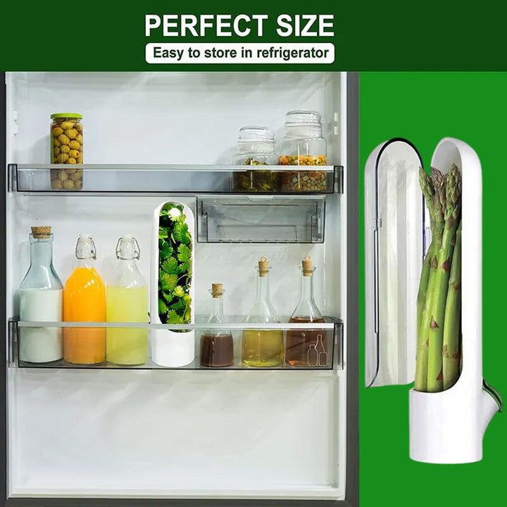 Lisslune | Herb Fresh Holder