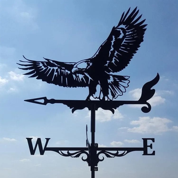 Lisslune | Stainless Steel Weather Vane!