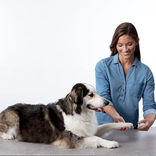 Lisslune | Rechargeable Pet Nail Grinder Soundless Good for Pet's Health