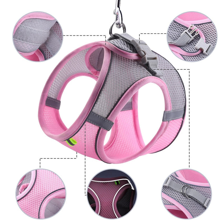 Lisslune | Small pet harness and leash set