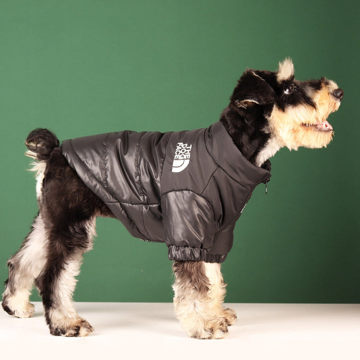 Lisslune | Windproof Reflective Dog Jacket