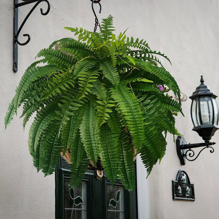 Lisslune | UV-resistant, lifelike artificial Boston fern