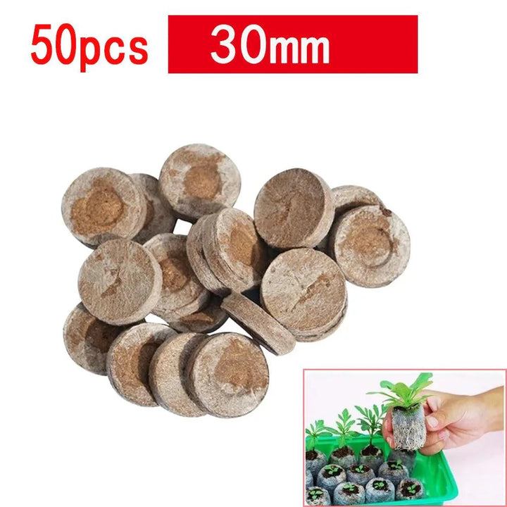 Lisslune | Hydroponic Seedling Growth Pods - Advanced Mineral Wool for Optimal Yield and Pest Control