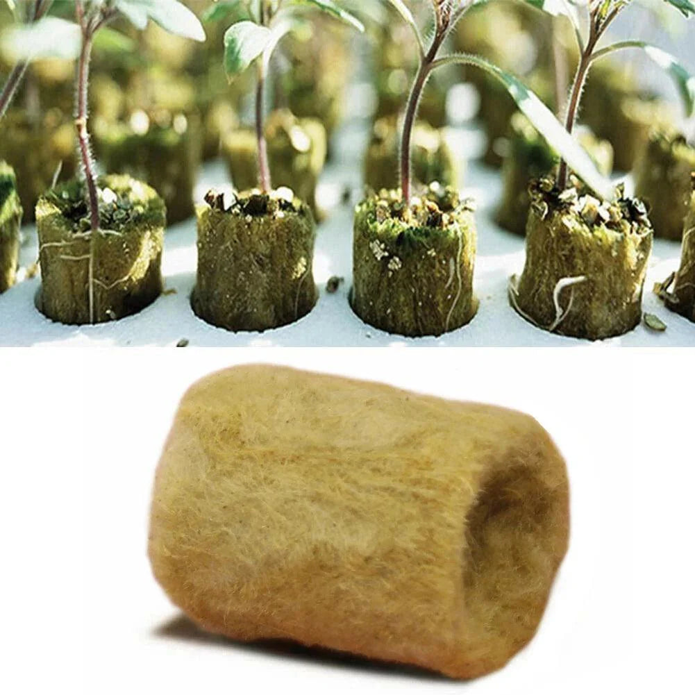 Lisslune | Hydroponic Seedling Growth Pods - Advanced Mineral Wool for Optimal Yield and Pest Control
