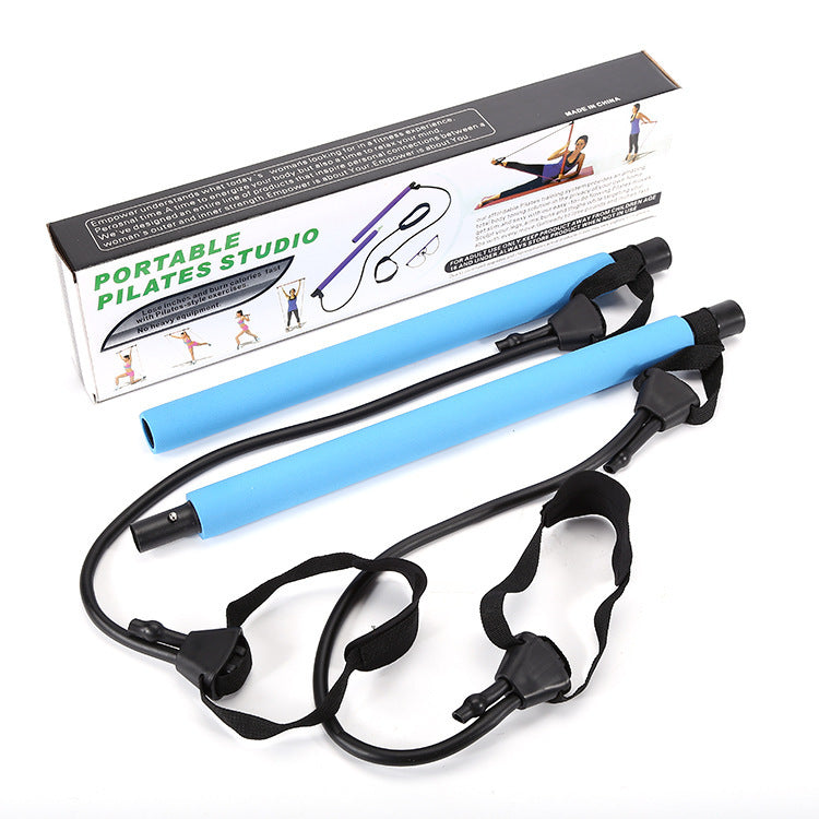 Lisslune | Chest Expander Pullers