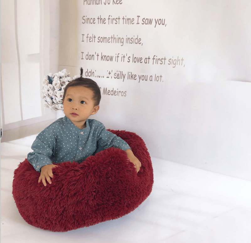 Lisslune | CozyNest | Winter Dog Bed | Luxe Comfort | Sustainable and Stylish