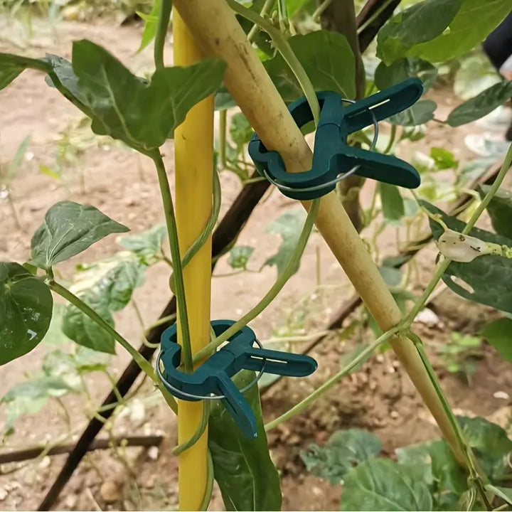 Lisslune | Garden clip set – plant loops for plant supports and garden care