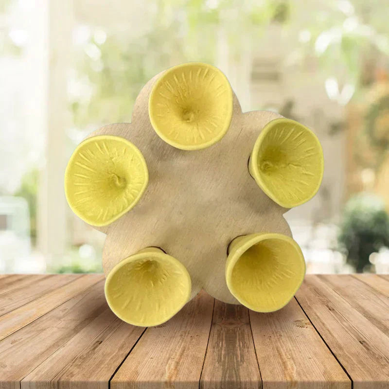 Lisslune | Drinking cup for bees and insects
