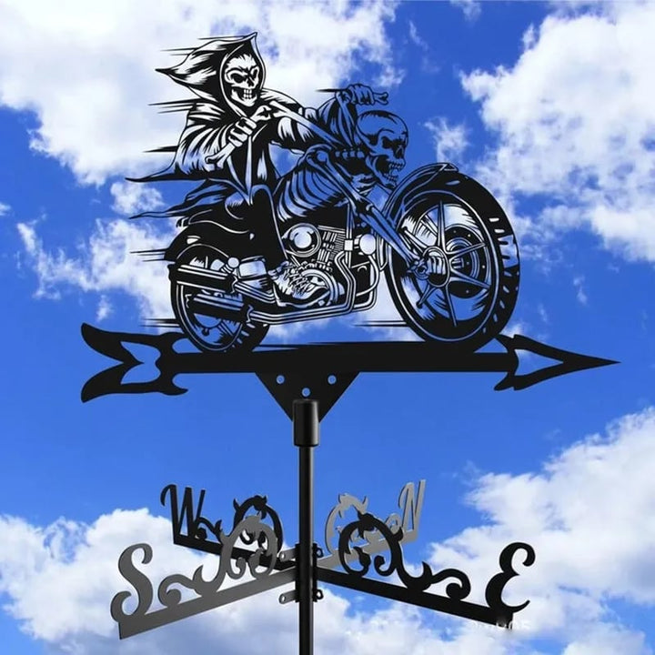 Lisslune | Stainless Steel Weather Vane!