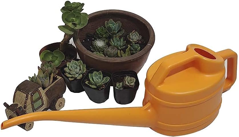 Lisslune | Watering can with long spout for precise and easy watering