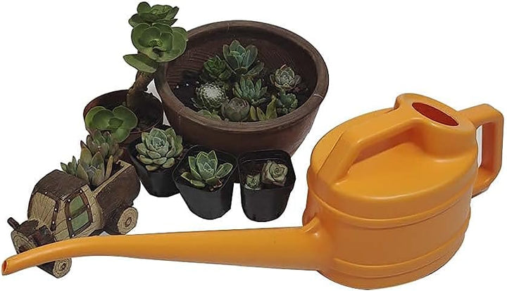 Lisslune | Watering can with long spout for precise and easy watering